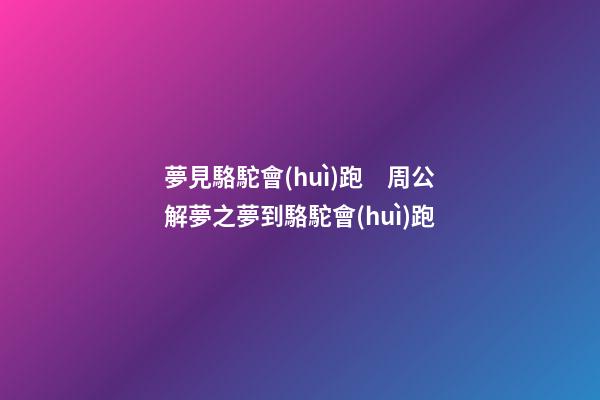 夢見駱駝會(huì)跑　周公解夢之夢到駱駝會(huì)跑